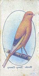 1933 Player's Aviary and Cage Birds - Transfers #7 Border Fancy Canary Front