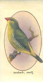 1933 Player's Aviary and Cage Birds - Transfers #35 Green Avadavat Front