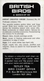 1975 Tetley Tea British Birds #43 Great Crested Grebe Back