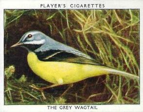 1934 Player's Wild Birds (Large) #23 The Grey Wagtail Front