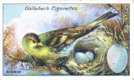 1919 Gallaher Birds Nests & Eggs Series #75 Siskin Front