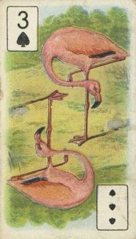 1914 Ogdens' Birds of Brilliant Plumage #3♠ Flamingo Front