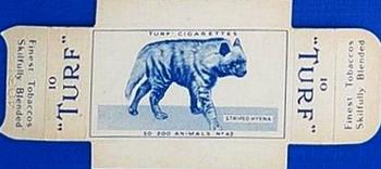 1954 Turf Zoo Animals - Uncut Singles #49 Striped Hyena Front