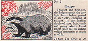 1957 Ty-Phoo Tea Some Countryside Animals #2 Badger Front