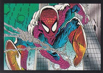1992 Comic Images Ghost Rider II #24 Spider-Man Front