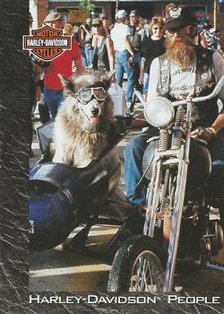 1994 SkyBox Harley-Davidson #43 Harley The Dog Front