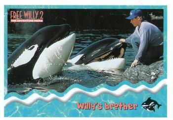 1995 SkyBox Free Willy 2: The Adventure Home #20 Willy's brother Front