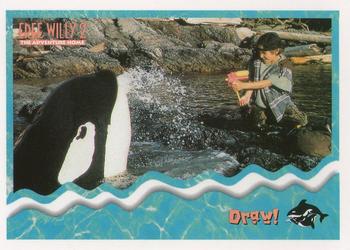 1995 SkyBox Free Willy 2: The Adventure Home #28 Draw! Front
