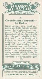 1929 Player's Hidden Beauties #6 Circulation currents- in Hairs Back
