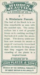 1929 Player's Hidden Beauties #8 A Minature Forest Back