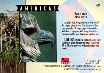 1993 Cardz The World Famous San Diego Zoo Animals of the Wild #49 Harpy eagle Back
