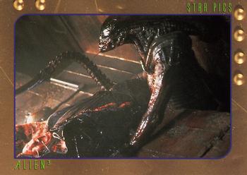 1992 Star Pics Alien 3 #11 Murphy was a victim of the Alien, not a freak acci Front