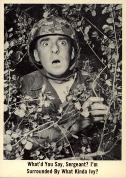 1965 Fleer Gomer Pyle #60 What'd you say, Sergeant? I'm surrounded by what k Front