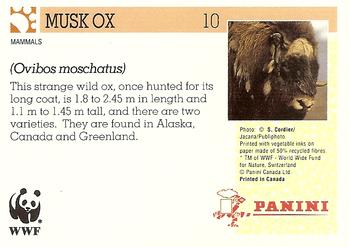 1992 Panini Wildlife In Danger #10 Musk Ox Back