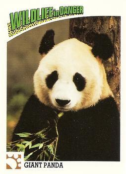 1992 Panini Wildlife In Danger #2 Giant Panda Front