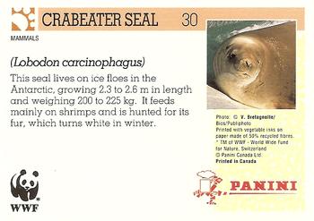 1992 Panini Wildlife In Danger #30 Crabeater Seal Back