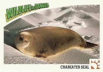 1992 Panini Wildlife In Danger #30 Crabeater Seal Front