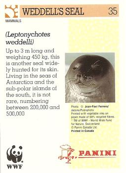 1992 Panini Wildlife In Danger #35 Weddell's Seal Back