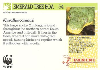 1992 Panini Wildlife In Danger #54 Emerald Tree Boa Back