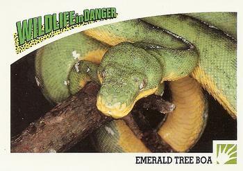 1992 Panini Wildlife In Danger #54 Emerald Tree Boa Front