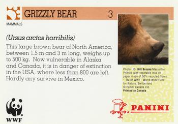 1992 Panini Wildlife In Danger #3 Grizzly Bear Back