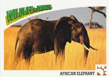 1992 Panini Wildlife In Danger #5 African Elephant Front