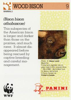 1992 Panini Wildlife In Danger #9 Wood Bison Back