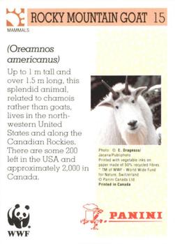 1992 Panini Wildlife In Danger #15 Rocky Mountain Goat Back