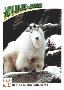 1992 Panini Wildlife In Danger #15 Rocky Mountain Goat Front