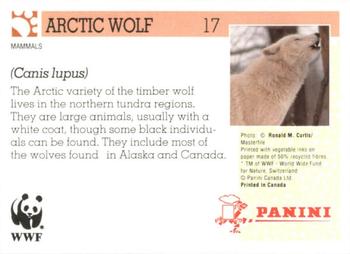 1992 Panini Wildlife In Danger #17 Arctic Wolf Back