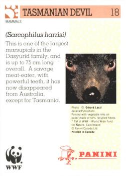 1992 Panini Wildlife In Danger #18 Tasmanian Devil Back