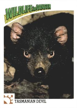 1992 Panini Wildlife In Danger #18 Tasmanian Devil Front
