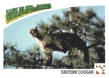 1992 Panini Wildlife In Danger #19 Eastern Cougar Front