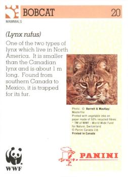 1992 Panini Wildlife In Danger #20 Bobcat Back