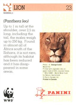 1992 Panini Wildlife In Danger #23 Lion Back