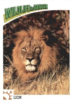1992 Panini Wildlife In Danger #23 Lion Front