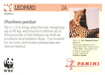 1992 Panini Wildlife In Danger #24 Leopard Back