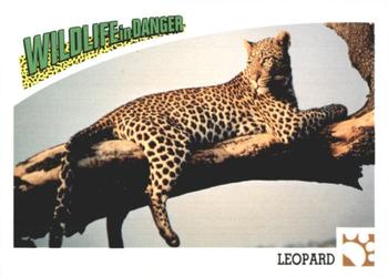 1992 Panini Wildlife In Danger #24 Leopard Front
