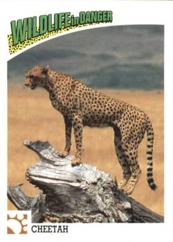 1992 Panini Wildlife In Danger #25 Cheetah Front
