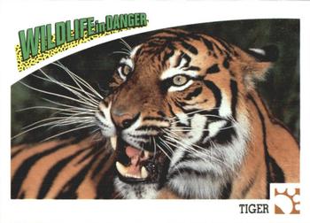 1992 Panini Wildlife In Danger #26 Tiger Front