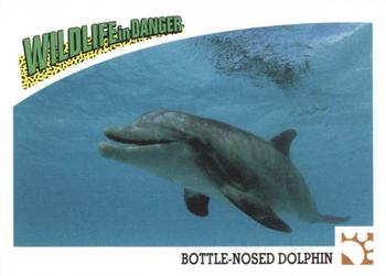 1992 Panini Wildlife In Danger #42 Bottle-Nosed Dolphin Front