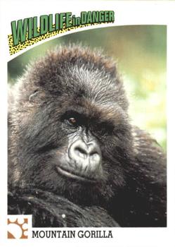 1992 Panini Wildlife In Danger #43 Mountain Gorilla Front