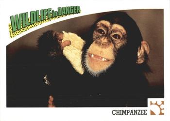 1992 Panini Wildlife In Danger #45 Chimpanzee Front