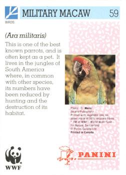 1992 Panini Wildlife In Danger #59 Military Macaw Back