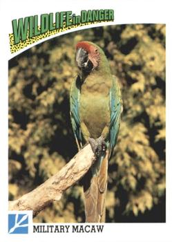 1992 Panini Wildlife In Danger #59 Military Macaw Front