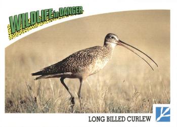1992 Panini Wildlife In Danger #65 Long-Billed Curlew Front