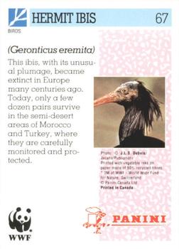 1992 Panini Wildlife In Danger #67 Hermit Ibis Back