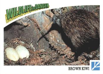 1992 Panini Wildlife In Danger #72 Brown Kiwi Front