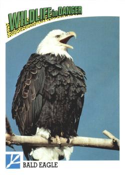 1992 Panini Wildlife In Danger #76 Bald Eagle Front