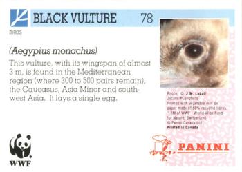 1992 Panini Wildlife In Danger #78 Black Vulture Back